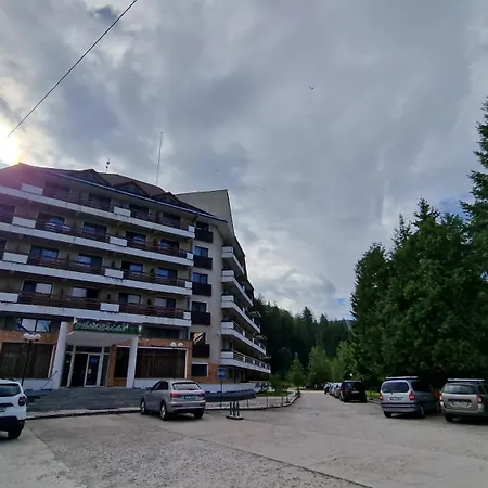 Bradul - Covasna