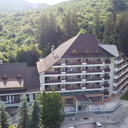 Hotel Bradul - 2*