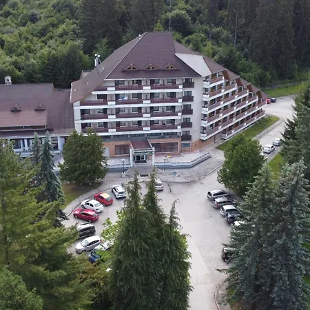Hotel Bradul -