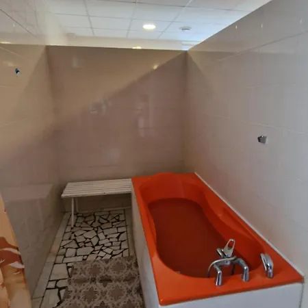 Bradul - Hotel 2*