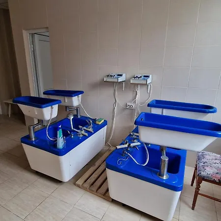 Hotel Bradul - 2*
