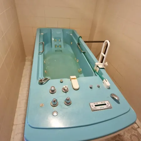 Hotel Bradul - 2*