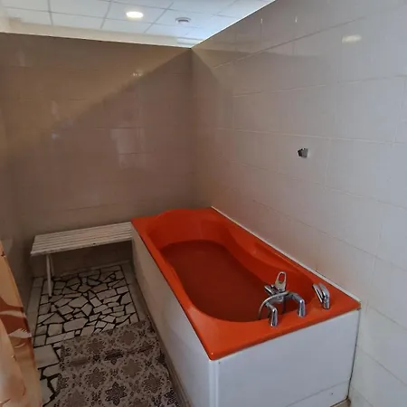 Hotel Bradul - Covasna